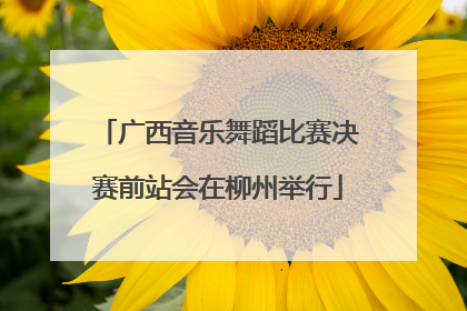 广西音乐舞蹈比赛决赛前站会在柳州举行