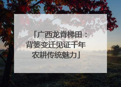 广西龙脊梯田：背篓变迁见证千年农耕传统魅力