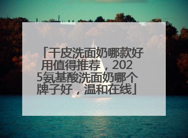 干皮洗面奶哪款好用值得推荐，2025氨基酸洗面奶哪个牌子好，温和在线
