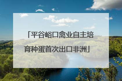 平谷峪口禽业自主培育种蛋首次出口非洲