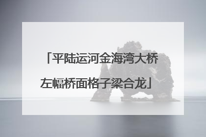 平陆运河金海湾大桥左幅桥面格子梁合龙