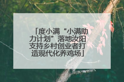 度小满“小满助力计划”落地汝阳支持乡村创业者打造现代化养鸡场