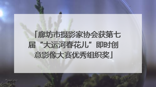 廊坊市摄影家协会获第七届“大运河春花儿”即时创意影像大赛优秀组织奖