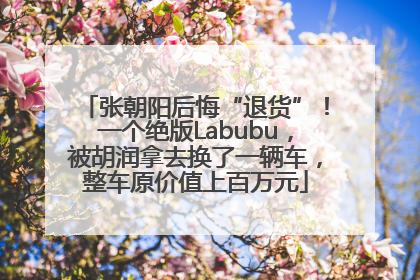 张朝阳后悔“退货”！一个绝版Labubu，被胡润拿去换了一辆车，整车原价值上百万元