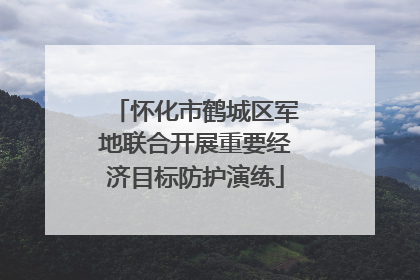 怀化市鹤城区军地联合开展重要经济目标防护演练