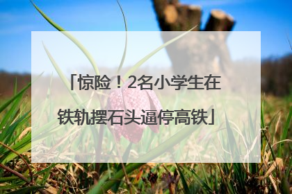 惊险！2名小学生在铁轨摆石头逼停高铁