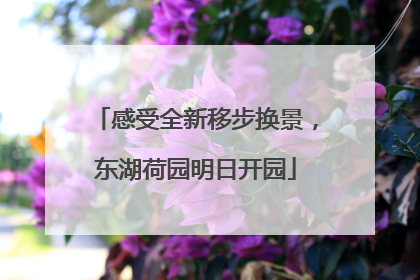 感受全新移步换景，东湖荷园明日开园
