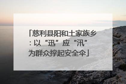 慈利县阳和土家族乡：以“迅”应“汛” 为群众撑起安全伞