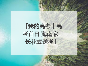 我的高考丨高考首日 海南家长花式送考