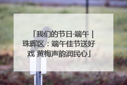 我们的节日·端午｜珠晖区：端午佳节送好戏 黄梅声韵润民心