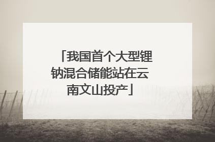 我国首个大型锂钠混合储能站在云南文山投产