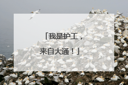 我是护工，来自大通！