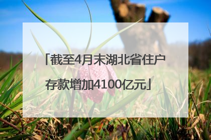 截至4月末湖北省住户存款增加4100亿元