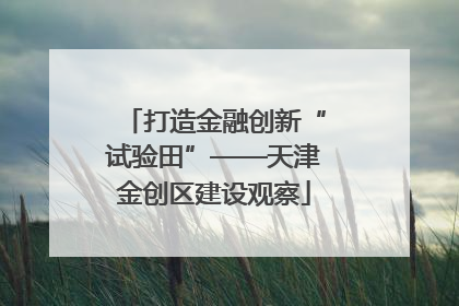 打造金融创新“试验田”——天津金创区建设观察