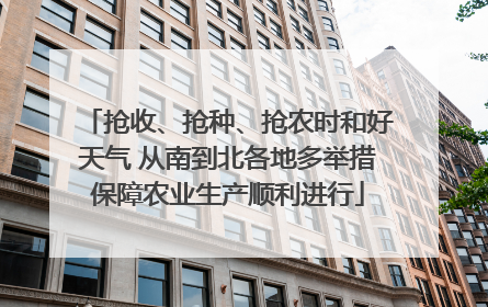 抢收、抢种、抢农时和好天气 从南到北各地多举措保障农业生产顺利进行