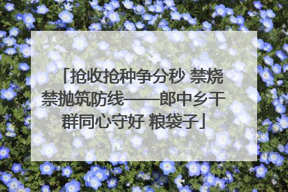 抢收抢种争分秒 禁烧禁抛筑防线——郎中乡干群同心守好 粮袋子