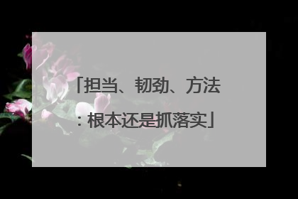 担当、韧劲、方法：根本还是抓落实