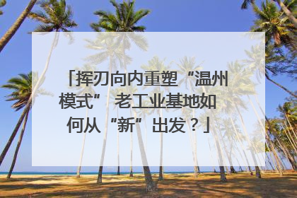 挥刃向内重塑“温州模式” 老工业基地如何从“新”出发？