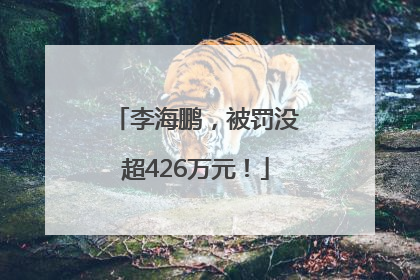 李海鹏，被罚没超426万元！