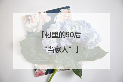 村里的90后“当家人”