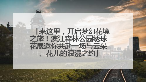 来这里，开启梦幻花境之旅！滨江森林公园绣球花展邀你共赴一场与云朵、花儿的浪漫之约