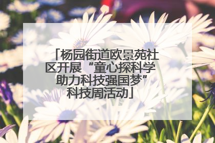 杨园街道欧景苑社区开展“童心探科学 助力科技强国梦”科技周活动