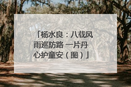 杨水良：八载风雨巡防路 一片丹心护童安（图）