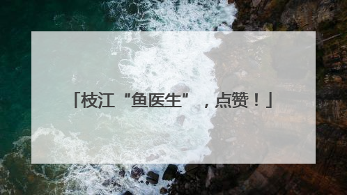 枝江“鱼医生”，点赞！