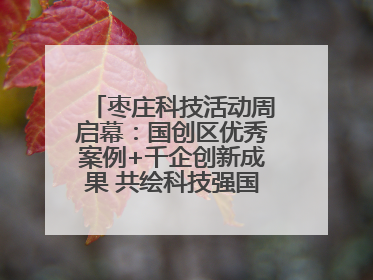 枣庄科技活动周启幕：国创区优秀案例+千企创新成果 共绘科技强国枣庄画卷