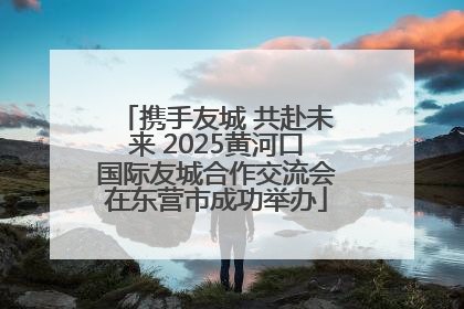 携手友城 共赴未来 2025黄河口国际友城合作交流会在东营市成功举办