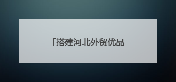 搭建河北外贸优品“卖全球”新通道