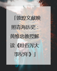 敦煌文献映照青海历史：黄维忠教授解读《吐谷浑大事纪年》