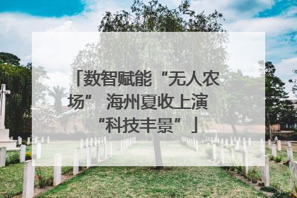 数智赋能“无人农场” 海州夏收上演“科技丰景”