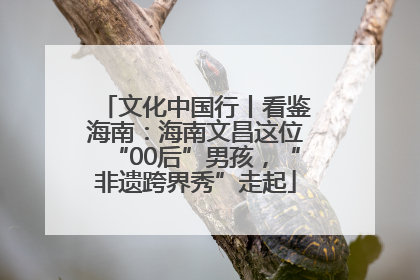 文化中国行丨看鉴海南：海南文昌这位“00后”男孩，“非遗跨界秀”走起