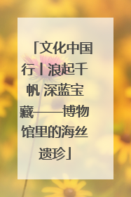 文化中国行丨浪起千帆 深蓝宝藏——博物馆里的海丝遗珍