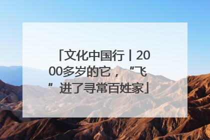 文化中国行丨2000多岁的它，“飞”进了寻常百姓家