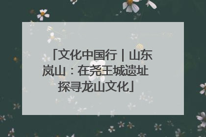 文化中国行｜山东岚山：在尧王城遗址探寻龙山文化
