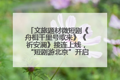 文旅题材微短剧《舟楫千里号歌来》《祈安澜》接连上线，“短剧游北京”开启大运河文化之旅