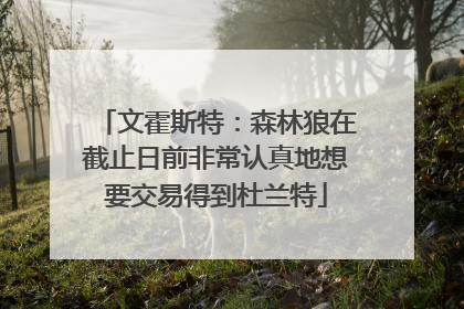 文霍斯特：森林狼在截止日前非常认真地想要交易得到杜兰特