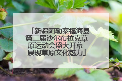 新疆阿勒泰福海县第二届沙尔布拉克草原运动会盛大开幕 展现草原文化魅力