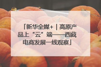 新华全媒+｜高原产品上“云”端——西藏电商发展一线观察