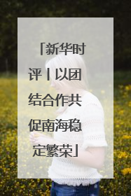新华时评丨以团结合作共促南海稳定繁荣