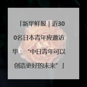 新华鲜报｜近300名日本青年应邀访华：“中日青年可以创造更好的未来”