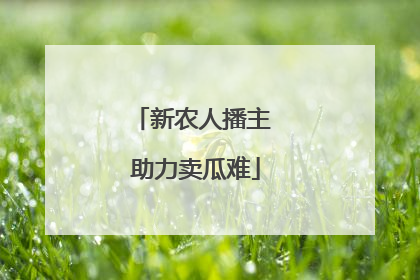 新农人播主 助力卖瓜难