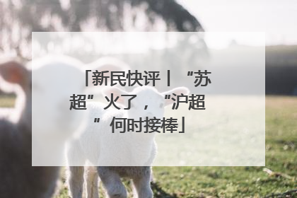 新民快评丨“苏超”火了，“沪超”何时接棒