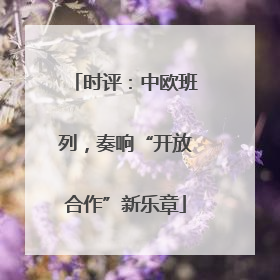 时评：中欧班列，奏响“开放合作”新乐章