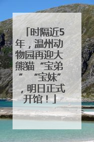 时隔近5年，温州动物园再迎大熊猫“宝弟”“宝妹”，明日正式开馆！