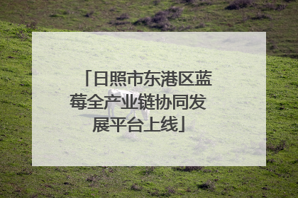 日照市东港区蓝莓全产业链协同发展平台上线