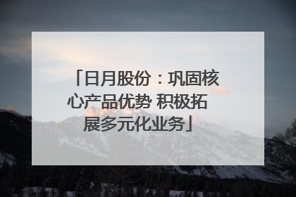 日月股份：巩固核心产品优势 积极拓展多元化业务