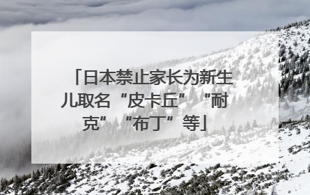 日本禁止家长为新生儿取名“皮卡丘”“耐克”“布丁”等